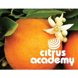 Citrus Production IPM