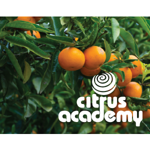 Citrus Production Plant Structures