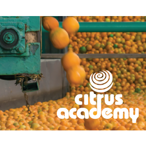 Citrus Production Post Harvest